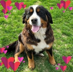 Meet your Posher, Terri